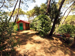 Villa Castagneto Carducci Außenaufnahme 19