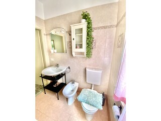 Villa Castagneto Carducci Caratteristiche 29