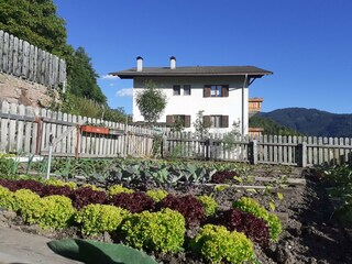 Fattoria Völs am Schlern Ambiente 6