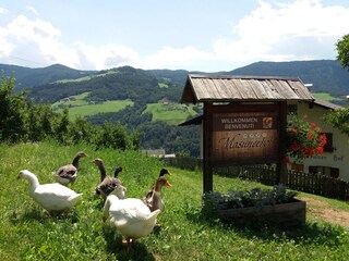 Fattoria Völs am Schlern Ambiente 9