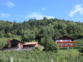 Fattoria Völs am Schlern Registrazione all'aperto 2