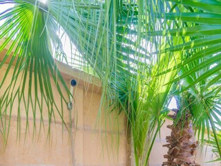 Chalet Campos Registrazione all'aperto 17