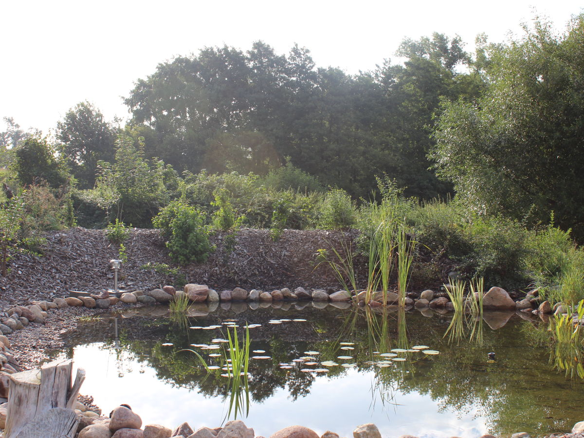 Teich auf dem Grundstück