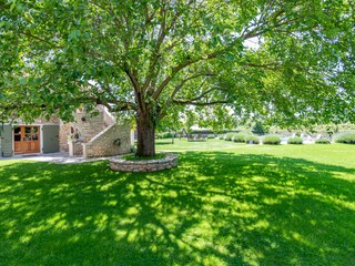 Der große Baum im Garten spendet reichlich Schatten.