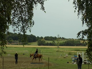 reitstall in der Nähe