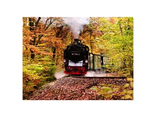 Fahrt mit dem Rasenden Roland