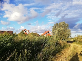 Ferienhaus Podamirowo Außenaufnahme 3