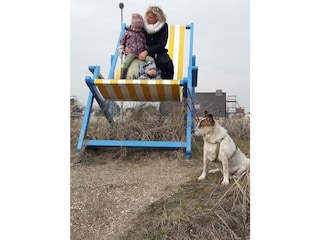 Vakantiehuis Ouddorp Omgeving 26