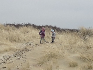 Vakantiehuis Ouddorp Omgeving 27