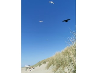 Vakantiehuis Ouddorp Omgeving 28