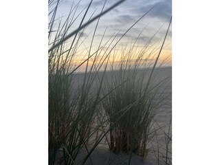 Casa per le vacanze Ouddorp Ambiente 33