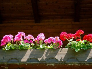 Apartamento de vacaciones Vintl Entorno 36