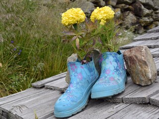 Appartement de vacances Vintl Environnement 37