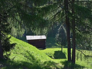 Apartamento de vacaciones Vintl Entorno 35