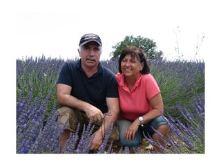 Casa per le vacanze Gassin Documento 44