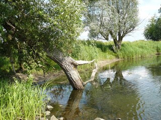 Appartamento per vacanze Havelaue Ambiente 25