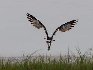 Appartamento per vacanze Havelaue Ambiente 27