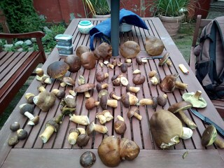 Appartamento per vacanze Havelaue Ambiente 38