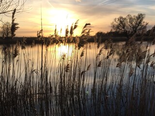 Appartamento per vacanze Havelaue Ambiente 33