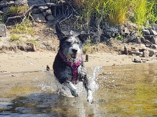 Appartamento per vacanze Havelaue Ambiente 35