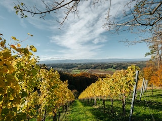 Blick Richtung Weststeiermark von der Terrasse