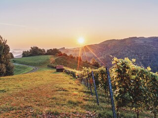 Sonnenaufgang von der Ostseite