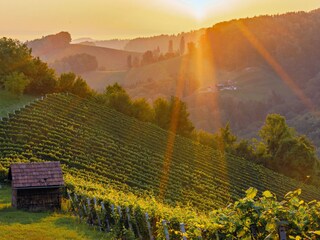 Appartamento per vacanze St. Johann im Saggautal  24