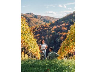 Appartamento per vacanze St. Johann im Saggautal  27