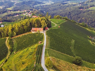 Lage Winzerhaus inklusive unserer Weingärten