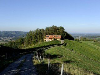 Lage des Ferienhauses inmitten der Weingärten