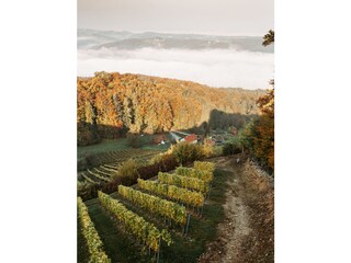 Appartamento per vacanze St. Johann im Saggautal  33