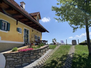 Terrasse mit Liegestühlen