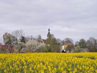 Appartamento Schwasdorf Ambiente 35