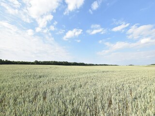 Appartement Schwasdorf Environnement 15