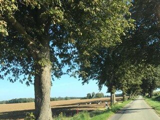 Appartamento Schwasdorf Ambiente 17