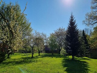 Appartamento Schwasdorf Ambiente 19