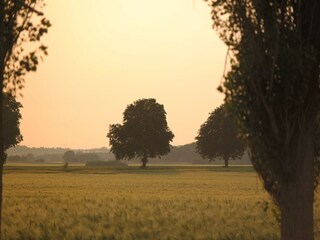 Appartement Schwasdorf Enregistrement extérieur 4