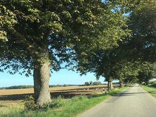 Appartamento Schwasdorf Ambiente 21