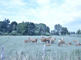 Appartamento Schwasdorf Ambiente 20