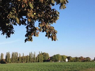 Apartamento Schwasdorf Grabación al aire libre 7
