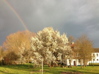 Appartamento Schwasdorf Ambiente 24