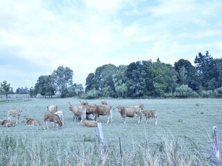 Apartment Schwasdorf Umgebung 26