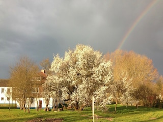 Appartamento Schwasdorf Ambiente 25