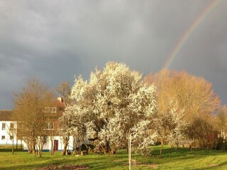 Appartement Schwasdorf Environnement 26