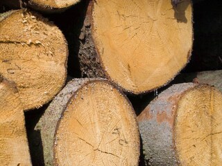 Appartamento Schwasdorf  29