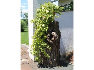 Appartamento per vacanze Gleinstätten Registrazione all'aperto 12