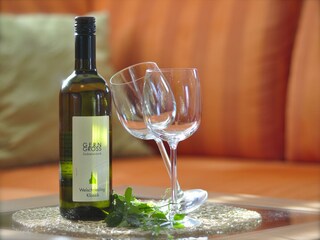 Appartamento per vacanze Gleinstätten Registrazione all'aperto 9