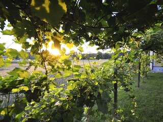 Appartamento per vacanze Gleinstätten Registrazione all'aperto 15