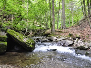 Appartamento per vacanze Gleinstätten Ambiente 31
