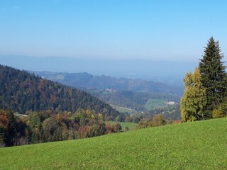 Appartamento per vacanze Gleinstätten Ambiente 30